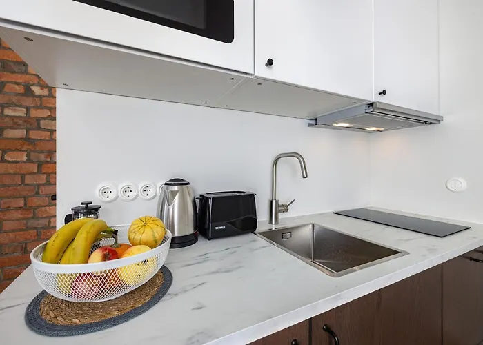 Peetri 公寓 塔尔图