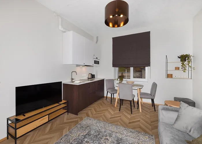 公寓 Peetri 塔尔图